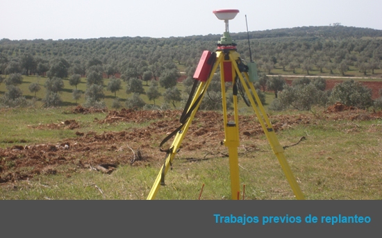 Olivar Superintensivo en Ervedal