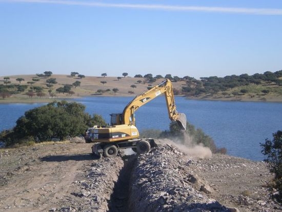 Olivar intensivo en Estrela