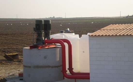 OLIVAR SUPERINTENSIVO EN CAMPOMAYOR