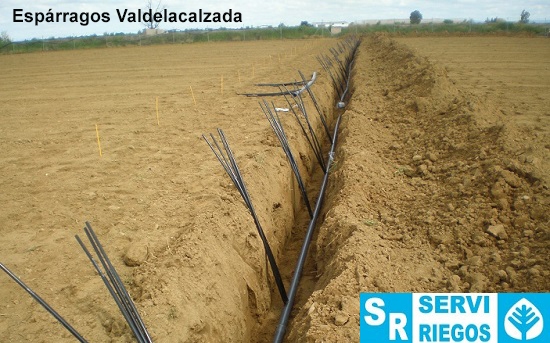 Varias obras