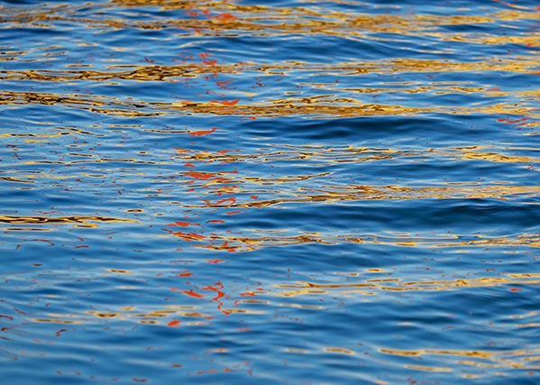 Liana Ardiles, Directora General del Agua el Ministerio de Agricultura, Pesca, Alimentación y Medio Ambiente y "Nos encontramos en el mejor momento para impulsar un Pacto de Estado que defina una gestión del agua a largo plazo".