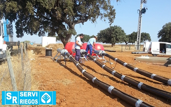 Montaje de bombeo sumergido en instalación de riego de olivar superintensivo en Monte do Trigo (Portugal).