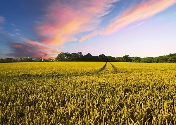 Dudas ante los cambios de la nueva PAC.