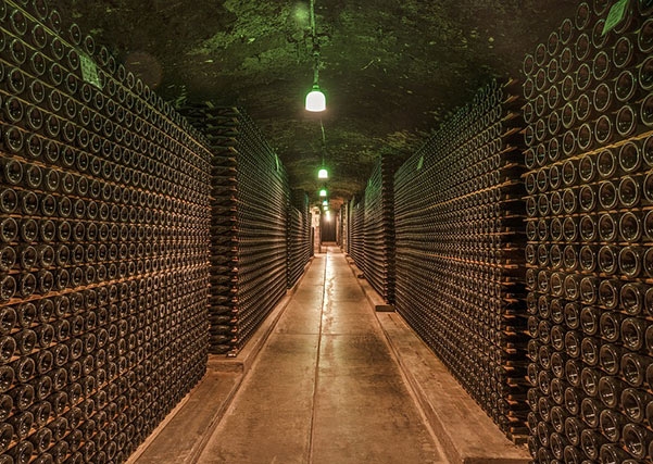 180 hectáreas más de cava para Extremadura