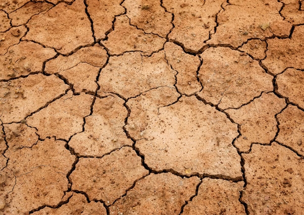 La AEMET ratifica la situación de sequía tras el estudio de los últimos doce meses.