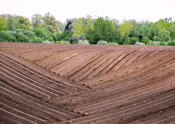 Inovações tecnológicas na agricultura para melhorar o desempenho das fazendas.