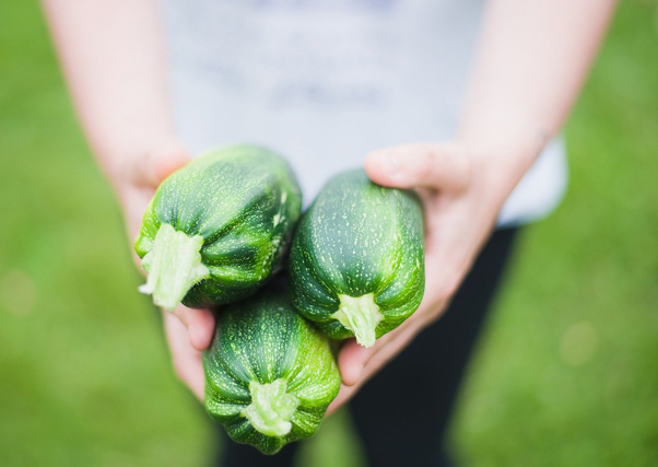 É assim que os agricultores da Extremadura vive em estado de alarme pelo coronavírus.