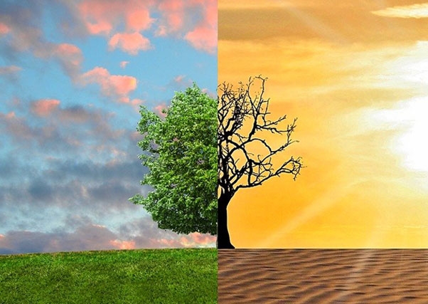 Los regantes piden una regulación hídrica de 16.000 hectómetros cúbicos para luchar contra el cambio climático.