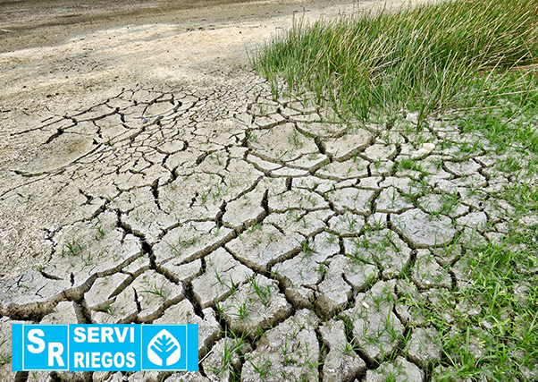 El sector agrario considera insuficientes las medidas del Gobierno contra la sequía.
