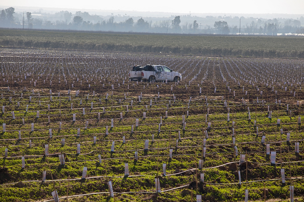 servirriegos-finca-9.jpg