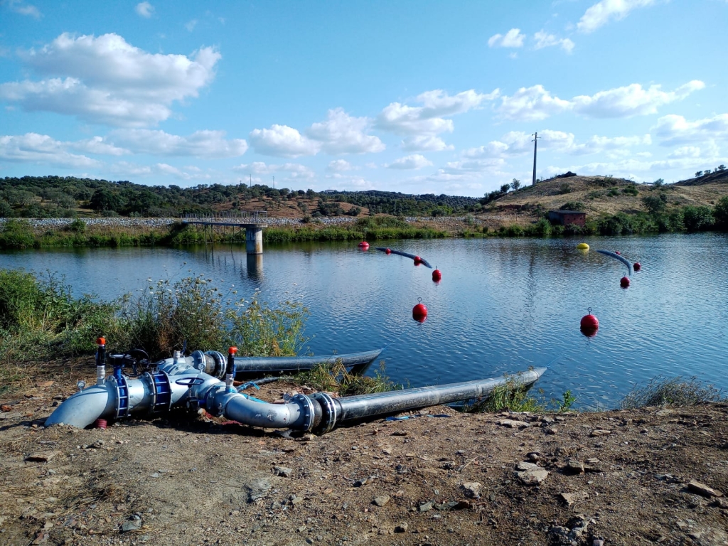 CEGO SUR. 200 HA OLIVAR EN SETO